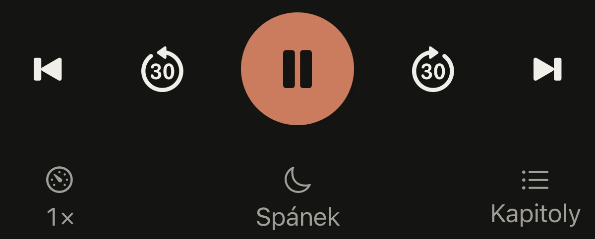 Player controls: chapter scrubber, 30 second skips, speed, sleep and chapters